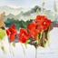 Provencal Poppies